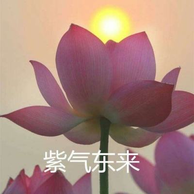 全民蜀山ol破解游戏下载